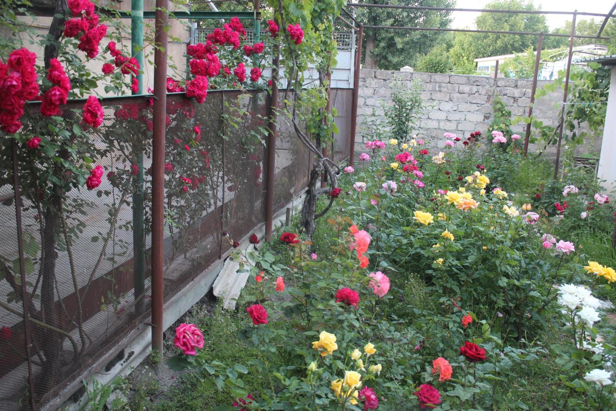 Guesthouse Levani Gori Exterior foto